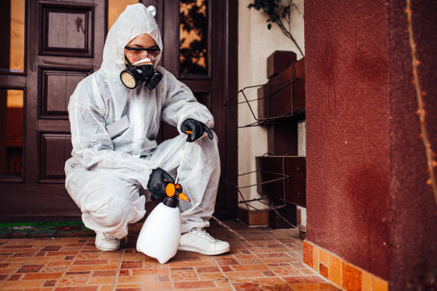 Reliable Cockroach Control contractor in Lakin, KS by Nex Pest Control